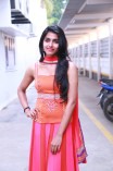 Dhanshika (aka) Actress Dhansika