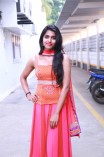 Dhanshika (aka) Actress Dhansika