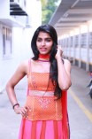 Dhanshika (aka) Actress Dhansika