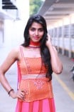 Dhanshika (aka) Actress Dhansika