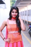 Dhanshika (aka) Actress Dhansika