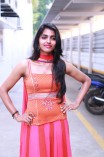 Dhanshika (aka) Actress Dhansika