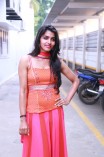 Dhanshika (aka) Actress Dhansika