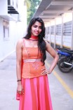 Dhanshika (aka) Actress Dhansika