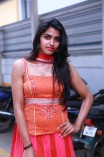 Dhanshika (aka) Actress Dhansika