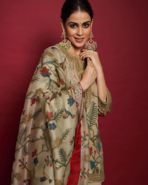 Genelia D Souza (aka) Genelia