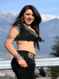 Hansika (aka) Hansika Motwani