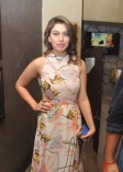 Hansika (aka) Hansika Motwani