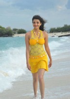 Kajal Aggarwal (aka) Kajal Agarwal