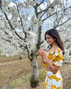 Malavika Mohanan (aka) MalavikaMohanan