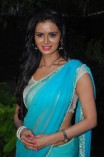 Meenakshi Dixit (aka) MeenakshI