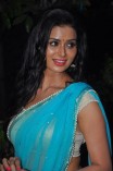 Meenakshi Dixit (aka) MeenakshI