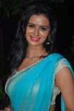 Meenakshi Dixit (aka) MeenakshI