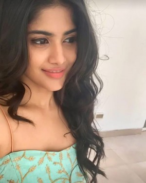 Megha Akash (aka) Megha