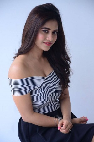 Nabha Natesh (aka) Nabha Naatesh