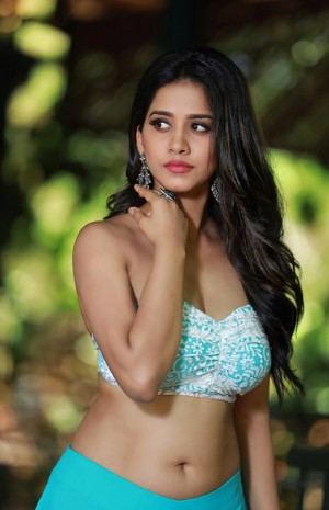 Nabha Natesh (aka) Nabha Naatesh