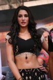 Nargis Fakhri (aka) Nargis Fakri