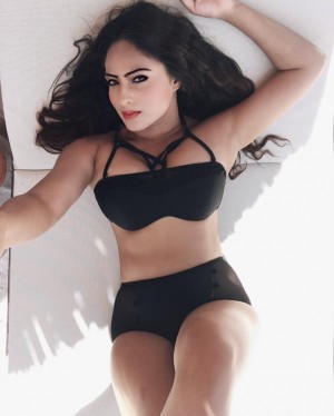 Nikesha Patel (aka) Nikeesha Patel