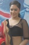 Nikesha Patel (aka) Nikeesha Patel