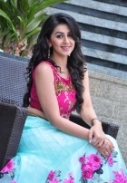 Nikki Galrani (aka) Niki Galrani