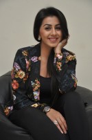 Nikki Galrani (aka) Niki Galrani