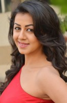 Nikki Galrani (aka) Niki Galrani