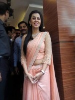 Nikki Galrani (aka) Niki Galrani