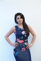 Nikki Galrani (aka) Niki Galrani