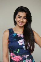 Nikki Galrani (aka) Niki Galrani