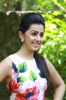 Nikki Galrani (aka) Niki Galrani