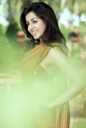 Nikki Galrani (aka) Niki Galrani