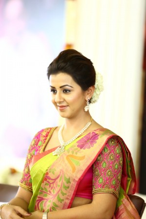 Nikki Galrani (aka) Niki Galrani