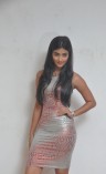 Pooja Hegde (aka) Pooja Hedge