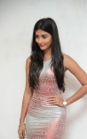 Pooja Hegde (aka) Pooja Hedge