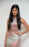 Pooja Hegde (aka) Pooja Hedge