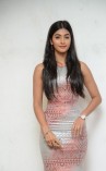 Pooja Hegde (aka) Pooja Hedge