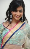 Pooja Hegde (aka) Pooja Hedge