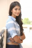 Pooja Hegde (aka) Pooja Hedge