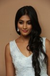 Pooja Hegde (aka) Pooja Hedge