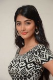 Pooja Hegde (aka) Pooja Hedge