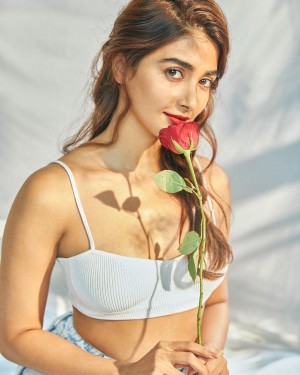 Pooja Hegde (aka) Pooja Hedge