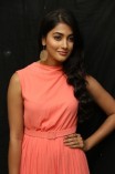 Pooja Hegde (aka) Pooja Hedge