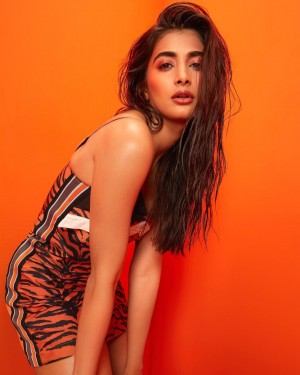 Pooja Hegde (aka) Pooja Hedge