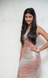 Pooja Hegde (aka) Pooja Hedge