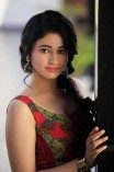 Poonam Bajwa (aka) Poonam