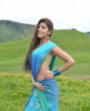 Praneetha (aka) Pranitha Subhash