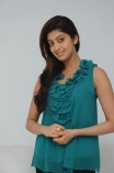 Pranitha Subhash (aka) Pranitha