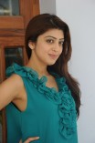 Pranitha Subhash (aka) Pranitha