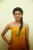 Pranitha Subhash (aka) Pranitha