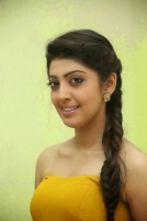 Pranitha Subhash (aka) Pranitha